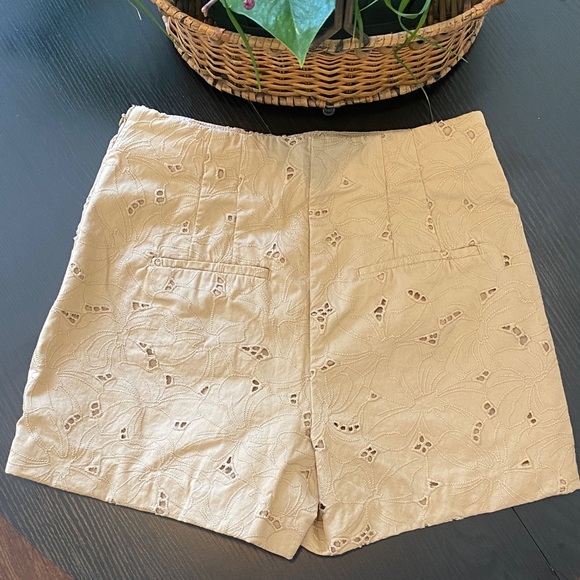Ann Taylor Beige Embroidered Women's Shorts - Picture 3 of 4